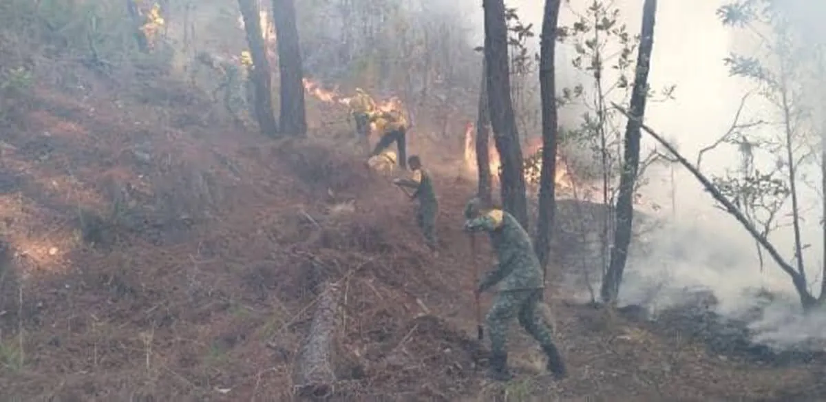 Edomex registró 927 incendios forestales en el 2023