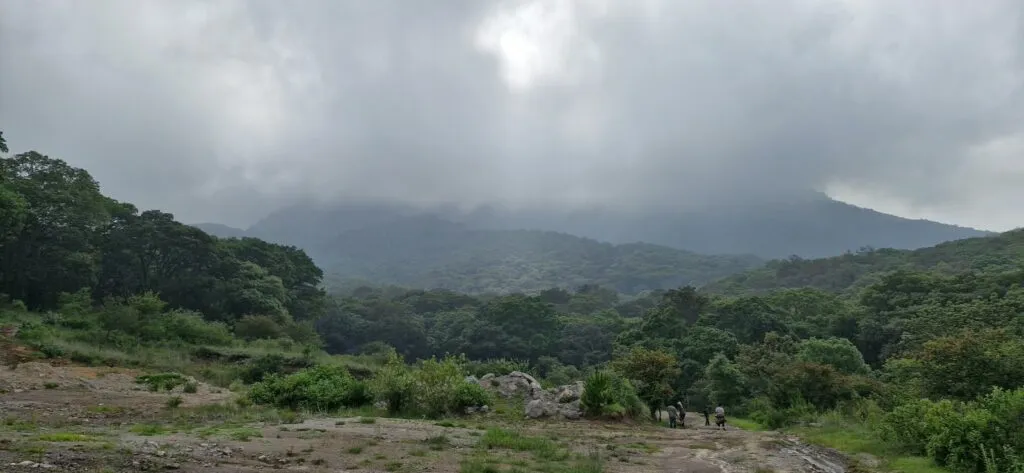Ejidatarios denuncian grave daño ambiental en Sierra de Tepotzotlán por vehículos 4×4