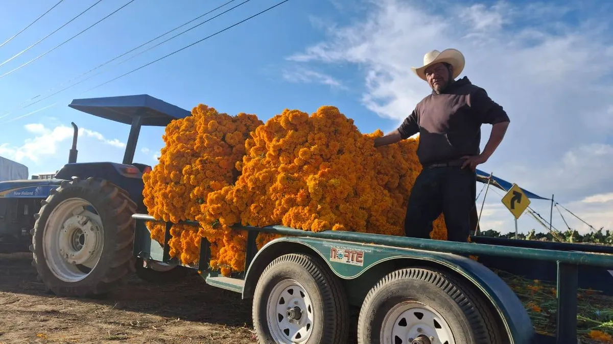 Incrementa la venta de flores en Tenango del Valle por Día de Muertos