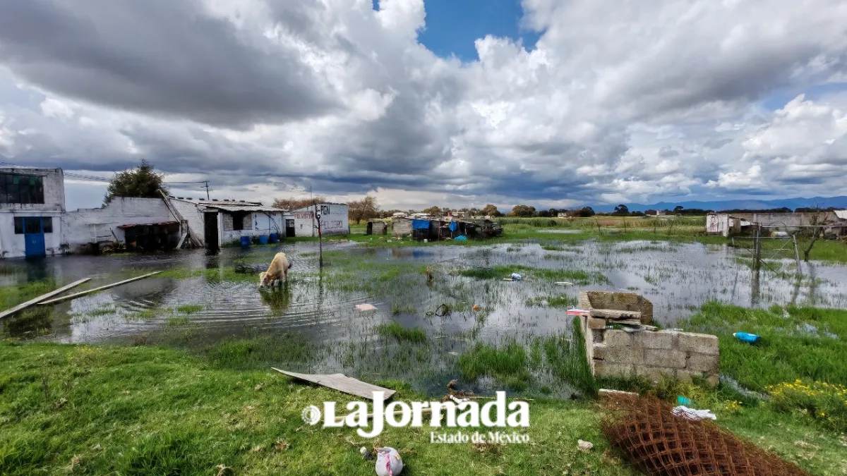 “Nada más se vienen a tomar la foto y no regresan”: vecinos inundados de Chapultepec