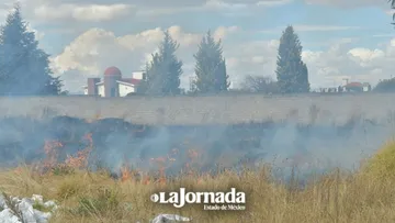 Quema de pastizales puede ser perjudicial para el ambiente