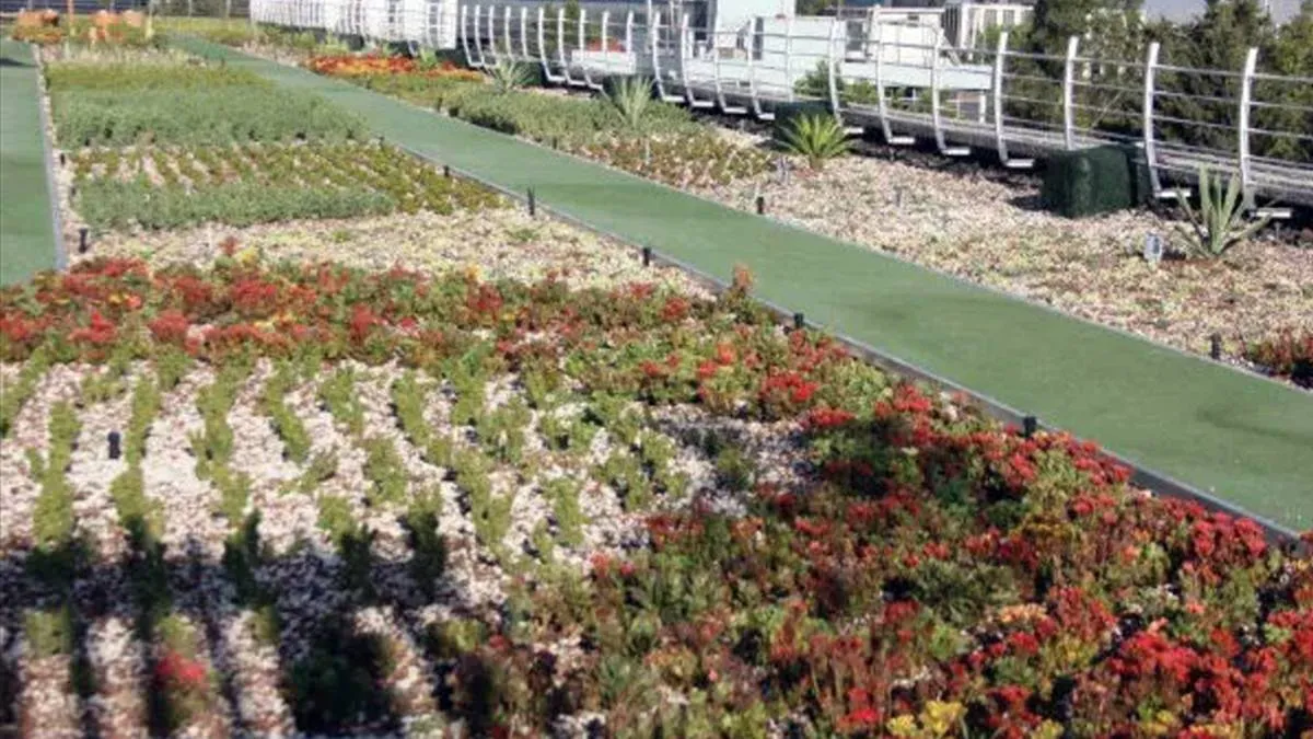 Inicia análisis para espacios verdes en zonas urbanas