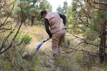 Edomex reforzará búsqueda de personas desaparecidas en zonas forestales