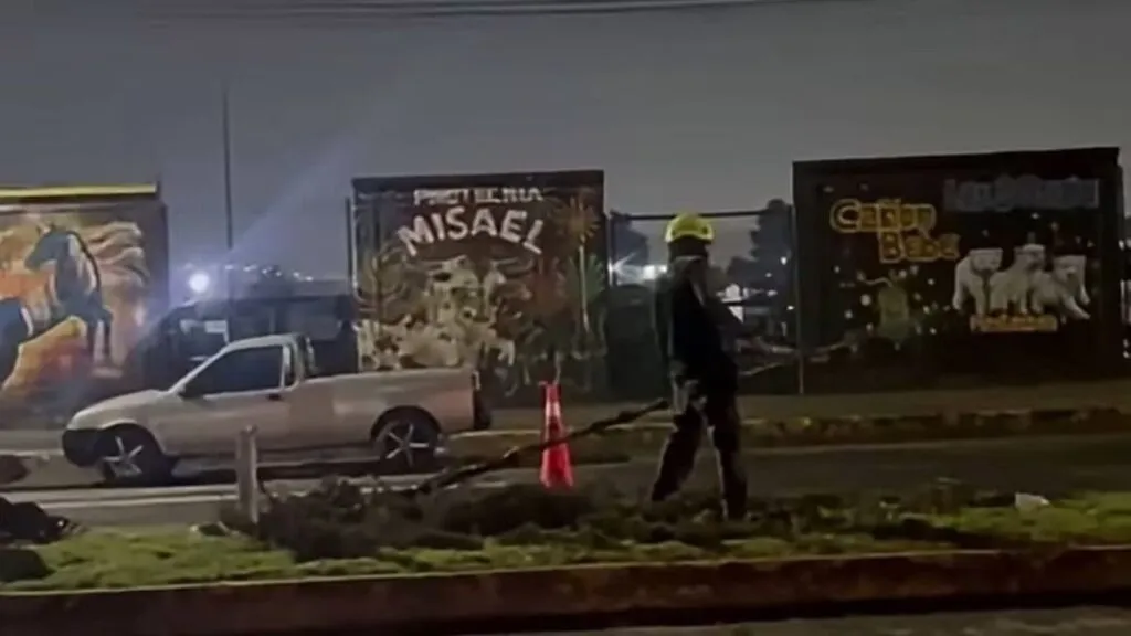 Talan árboles frente a mercado de cohetes en Tultepec y acusan ecocidio