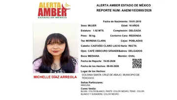Alerta Amber: Se busca a Michelle Díaz Arreola,  desaparecida en Texcoco