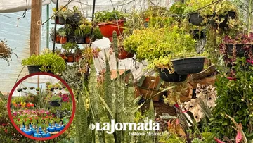 Desde legislatura proponen centros de reciclaje en regiones florícolas de Edomex