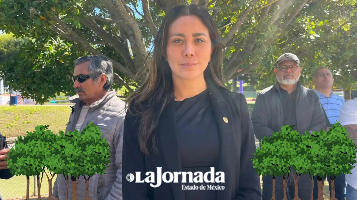 Iniciativa para creación de fiscalía especializada en protección de bosques