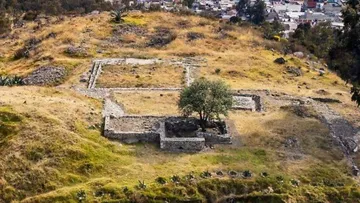 Saqueo en el cerro del Toloche provoca pérdida irreversible de información científica: especialista