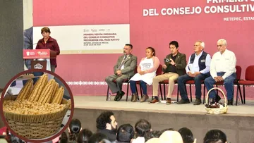 Primera sesión de consejo consultivo de maíz resalta avances para su producción y comercialización