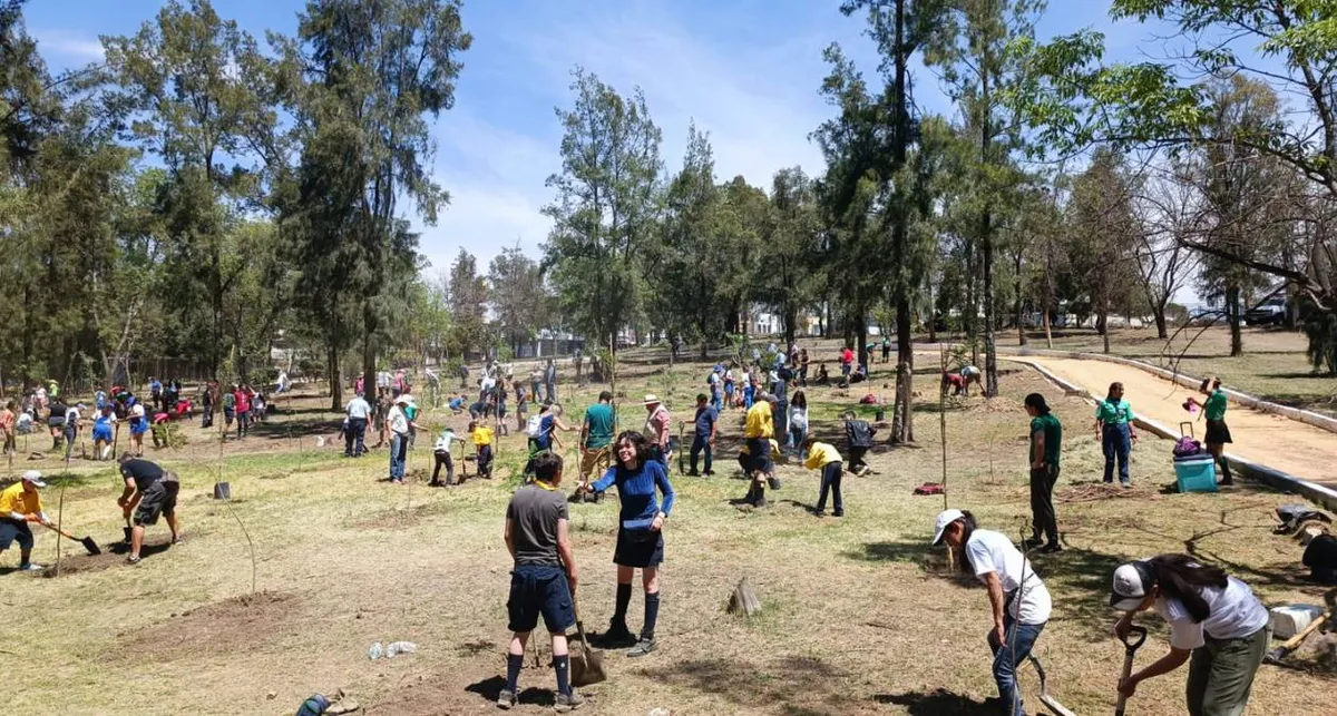 Naucalpenses reforestaron 500 árboles frutales