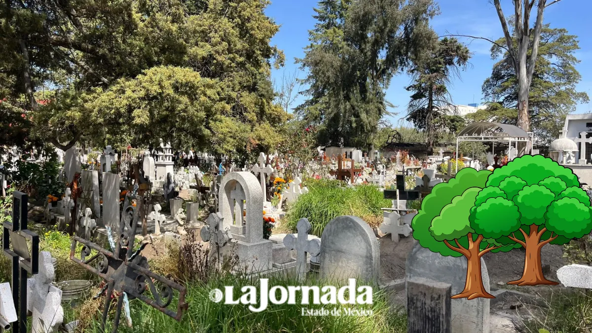 Edomex proyecta primeros panteones ecológicos para finales de año