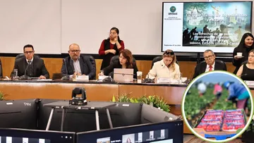 Jornaleros mexicanos en Canadá enfrentan condiciones laborales precarias: Correa Hernández