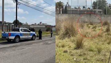 Bebé recién nacida es encontrada muerta en un baldío de Metepec; autoridades atienden el caso