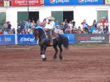 Alistan Feria Internacional del Caballo Texcoco 2023