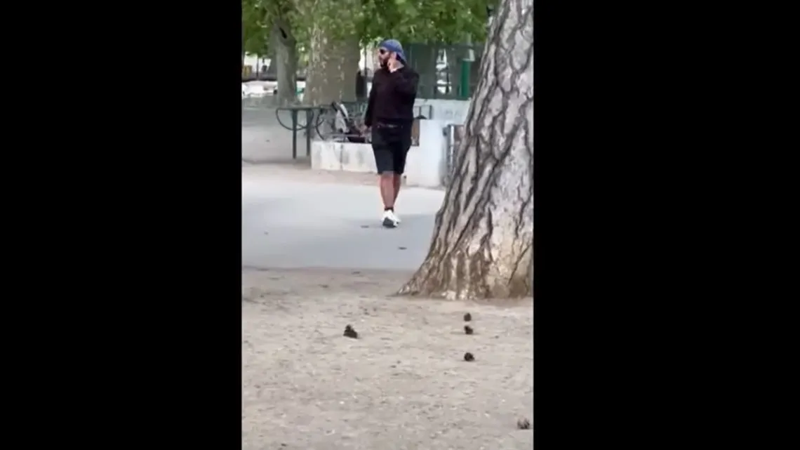 Francia: hombre con cuchillo ataca a niños y adultos en parque