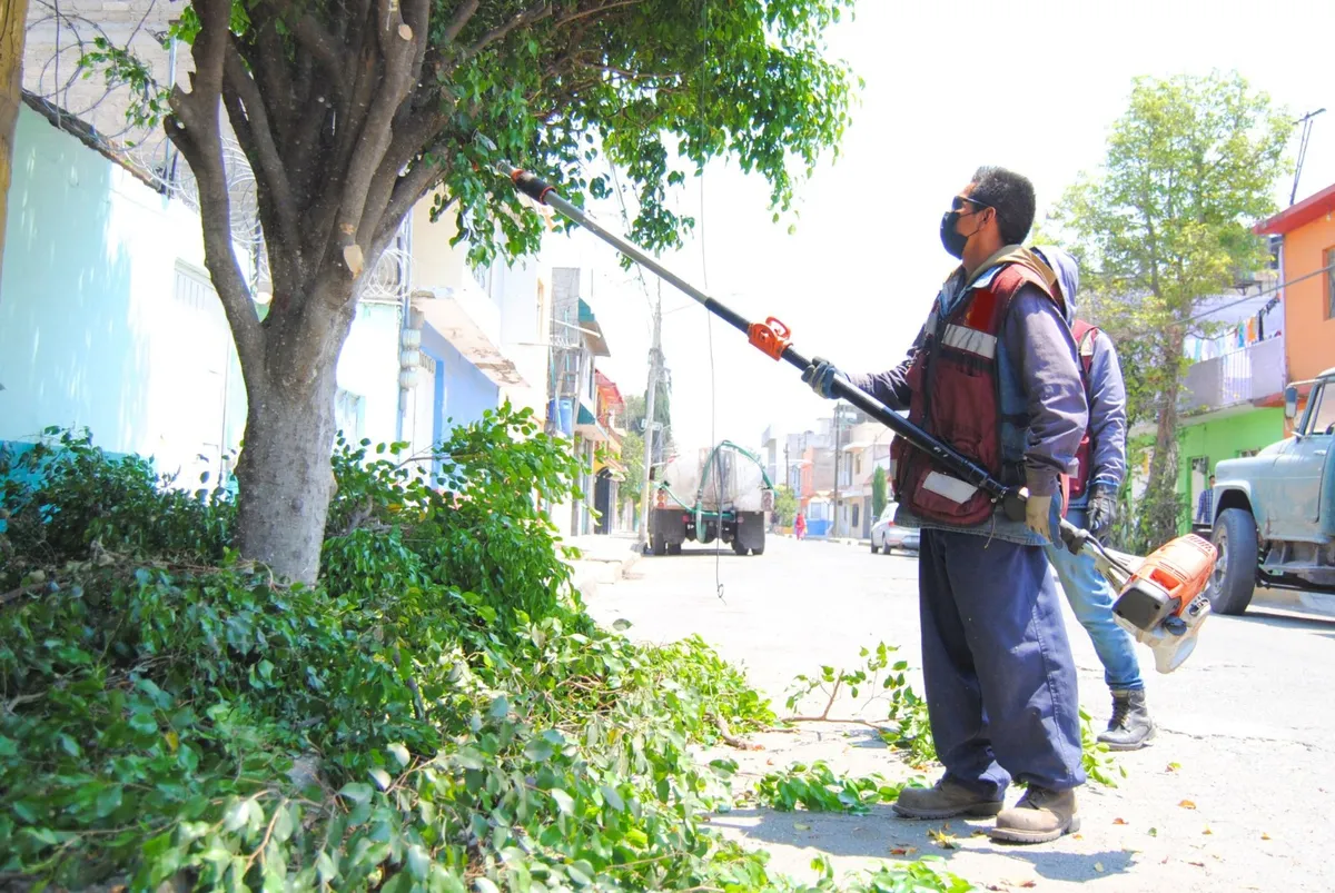 Gobierno de Ecatepec realiza la poda de 315 árboles para brindar seguridad a ciudadanos