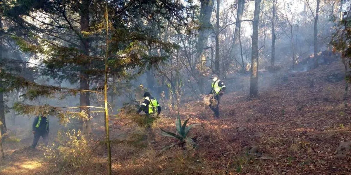 Probosque: Hoy fueron liquidados 17 incendios en el Edomex