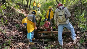 Edomex aperturó más de 500 km de brechas cortafuego