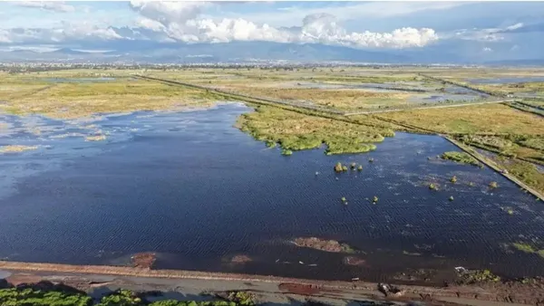 La captación de agua en el Lago de Texcoco ha permitido el retorno de miles de aves migratorias, aunque el vandalismo y los incendios siguen amenazando el ecosistema.