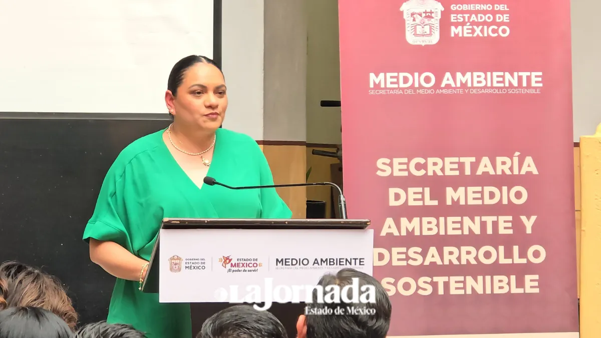 Prohibición y sanción de plásticos de un solo uso en agosto: Medio Ambiente