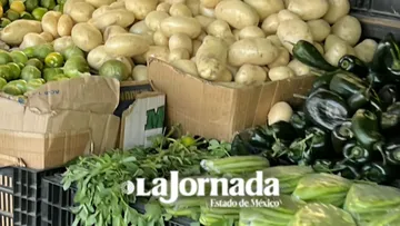 Precios de comestibles mantienen estabilidad en Toluca [Recorrido semanal]