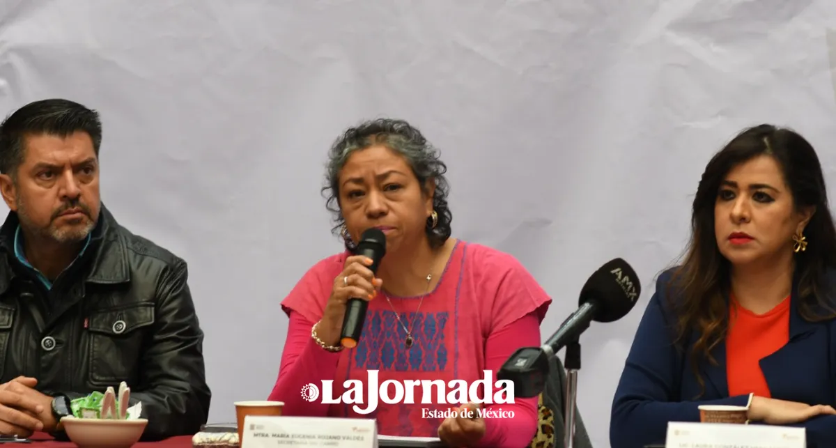Seis de cada Diez pesos van al comercio informal: Canaco