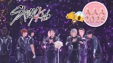 Stray Kids se lleva un buen susto y 8 premios en los Asia Aartist Awards 2025