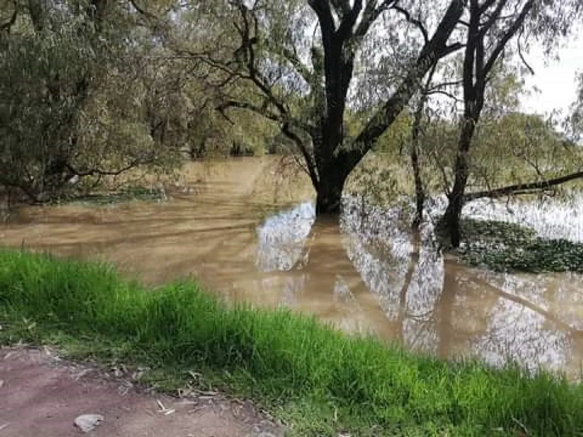 Se desborda río Lerma en Ixtlahuaca, descartan afectaciones en viviendas