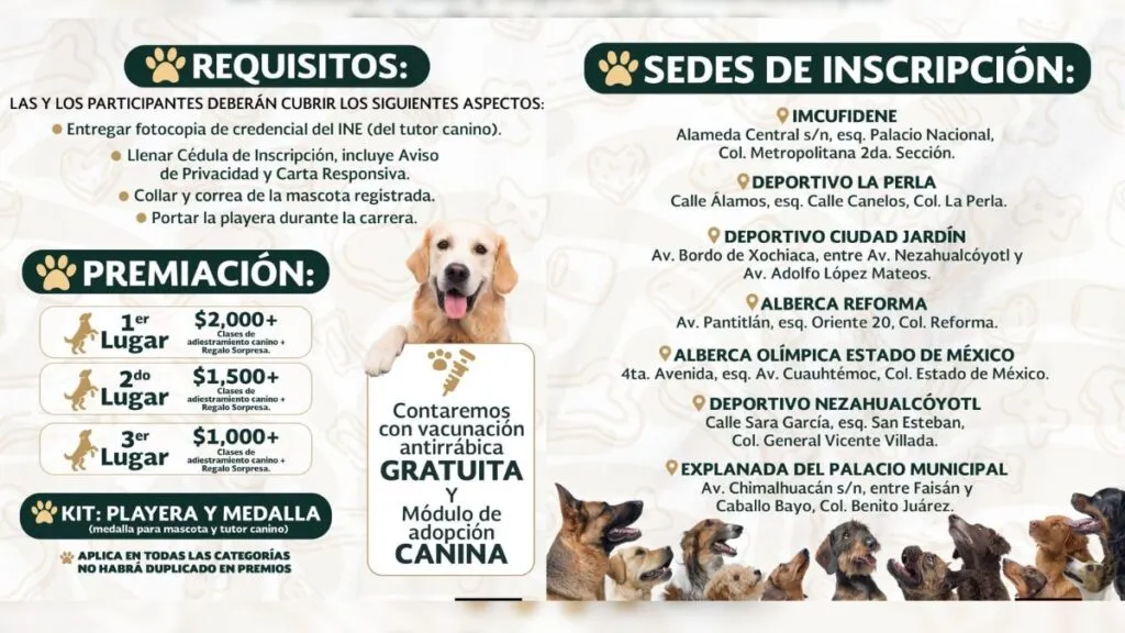 Carrera de mascotas en Neza: Así puedes participar y ganar 2,000 pesos