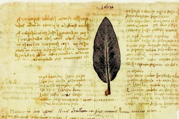 La ‘Leonardoteca’: nuevos horizontes en el conocimiento de Leonardo da Vinci