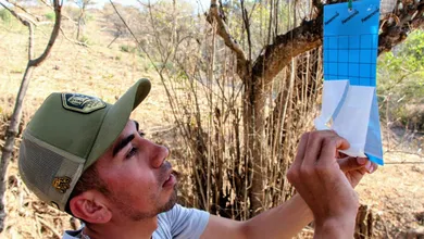 El ganado afectado no ha sido sacrificado ni puesto en cuarentena y presenta evolución favorable.