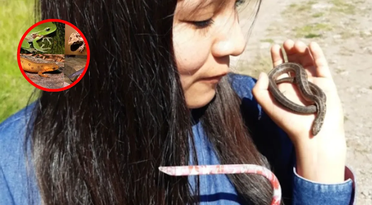 Erika Reyes: entre serpientes y anfibios por la lucha ambiental 