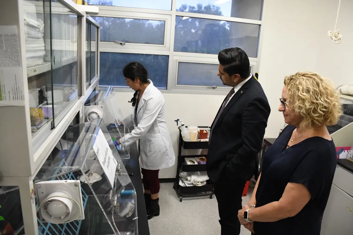 De acuerdo con la Secretaría de Salud, existen más de 200 tipos de VPH.