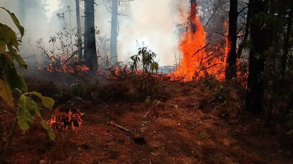 Incendios forestales azotan a la región de los volcanes