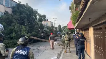Elementos de Protección Civil y Bomberos de Ecatepec acudieron al lugar para retirar el tronco y ramas que bloqueaban la entrada.