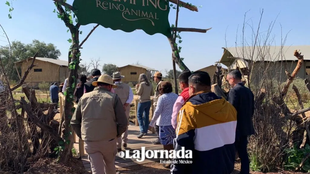Teotihuacán: Instalan Glamping Zafari en Reino Animal para los turistas