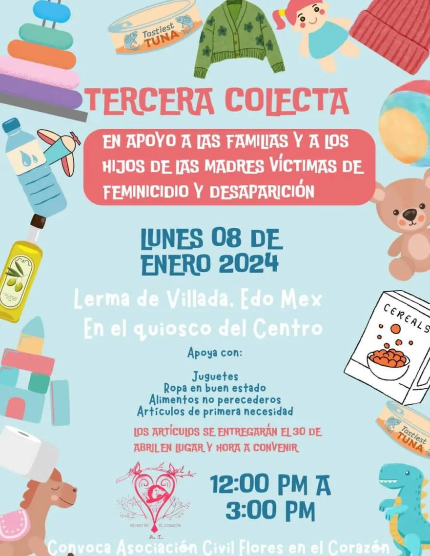 Lerma: Colecta para niños víctimas de violencia