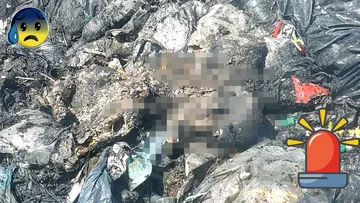 Madres buscadoras localizan 2 cuerpos en Bordo de Xochiaca