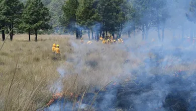 Edomex disminuye 52% afectaciones por incendios forestales
