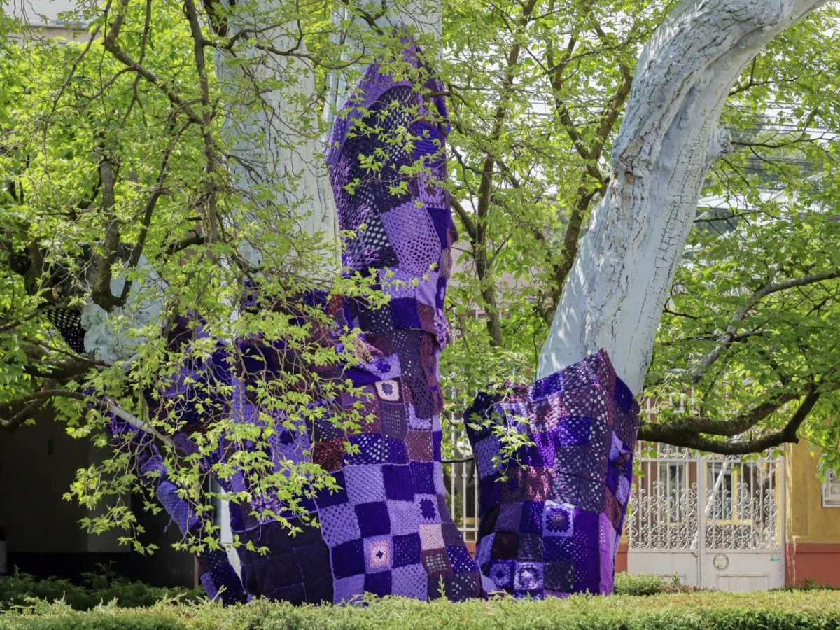 Cuando el tejido se vuelve un acto político y social, el Árbol de la Mora y a la UAEMex