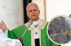 Papa celebra el inicio de alto al fuego en Gaza