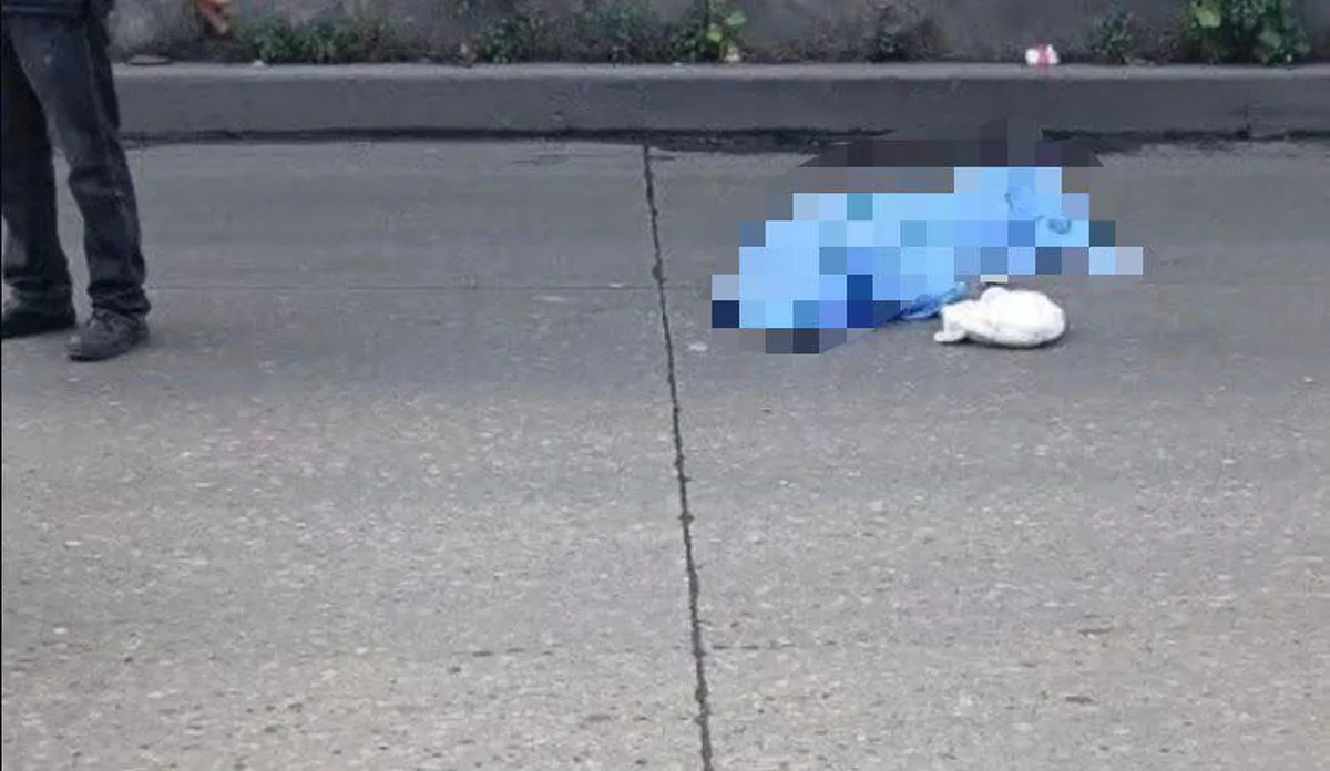 Joven pierde la vida tras ser arrollada en Paseo Tollocan; buscan a sus familiares