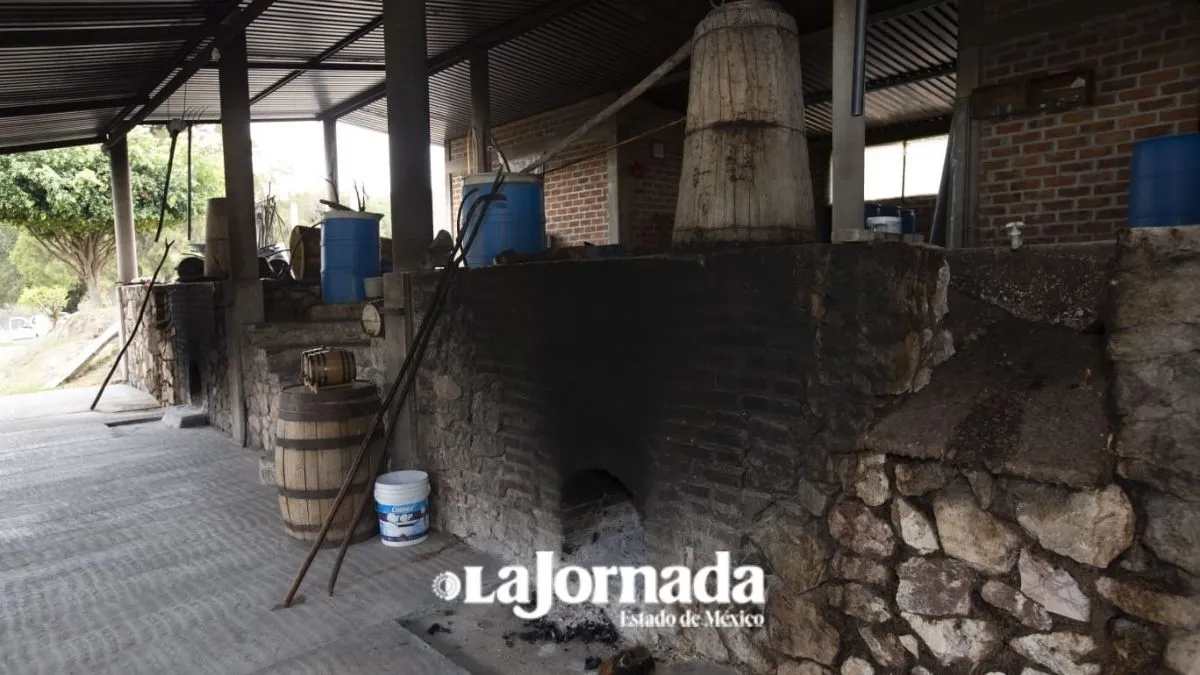 Edomex: Publican exhorto para resolver litigio de denominación de origen de mezcal mexiquense