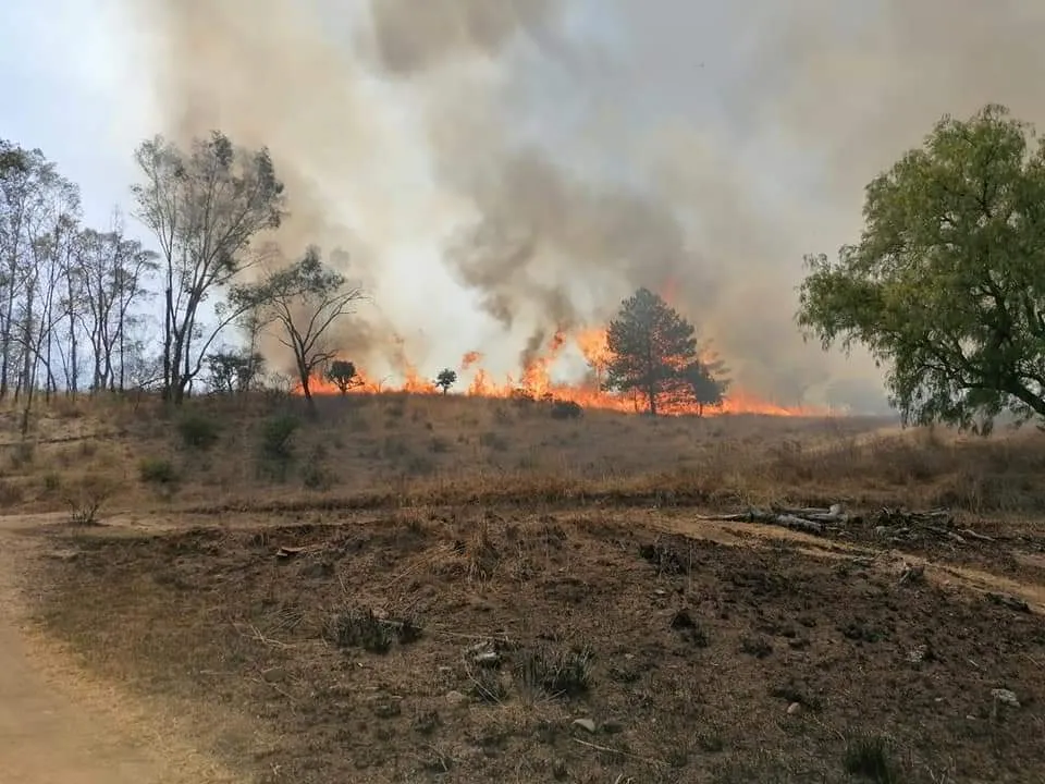 Fuerte incendio en Bosques de Lago y Nicolás Romero