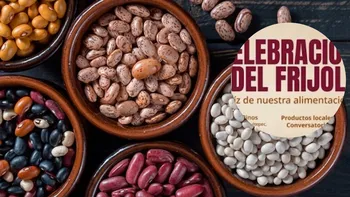 Festival del Frijol 2026: ¿Cuándo y en dónde será?