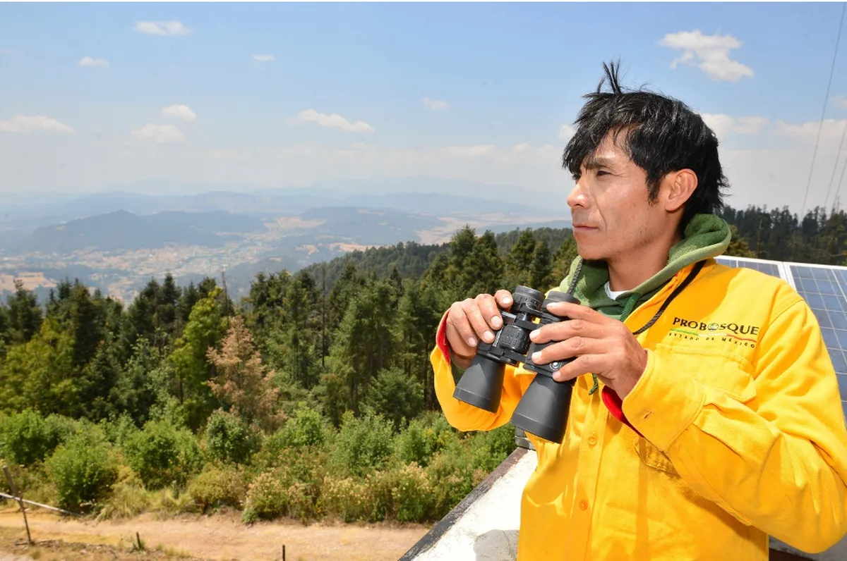 Edomex: Torres de Vigilancia Forestal para Proteger los Bosques