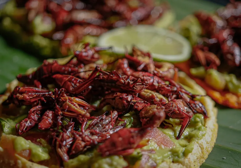 Edomex, buena opción en fin de semana largo