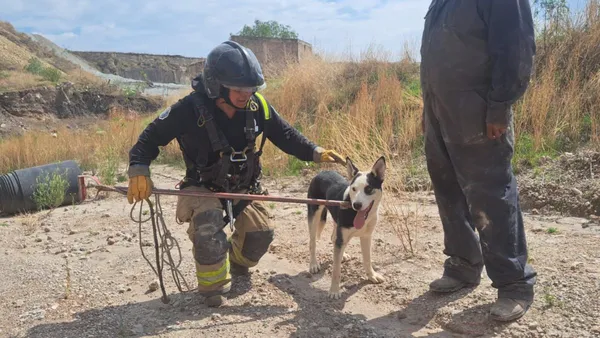 Texcoco: Rescatan a un perrito atrapado en una mina [VIDEO]