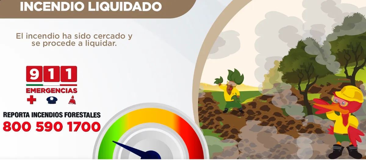 Edomex: Combaten 12 incendios forestales, brigadistas logran controlarlos