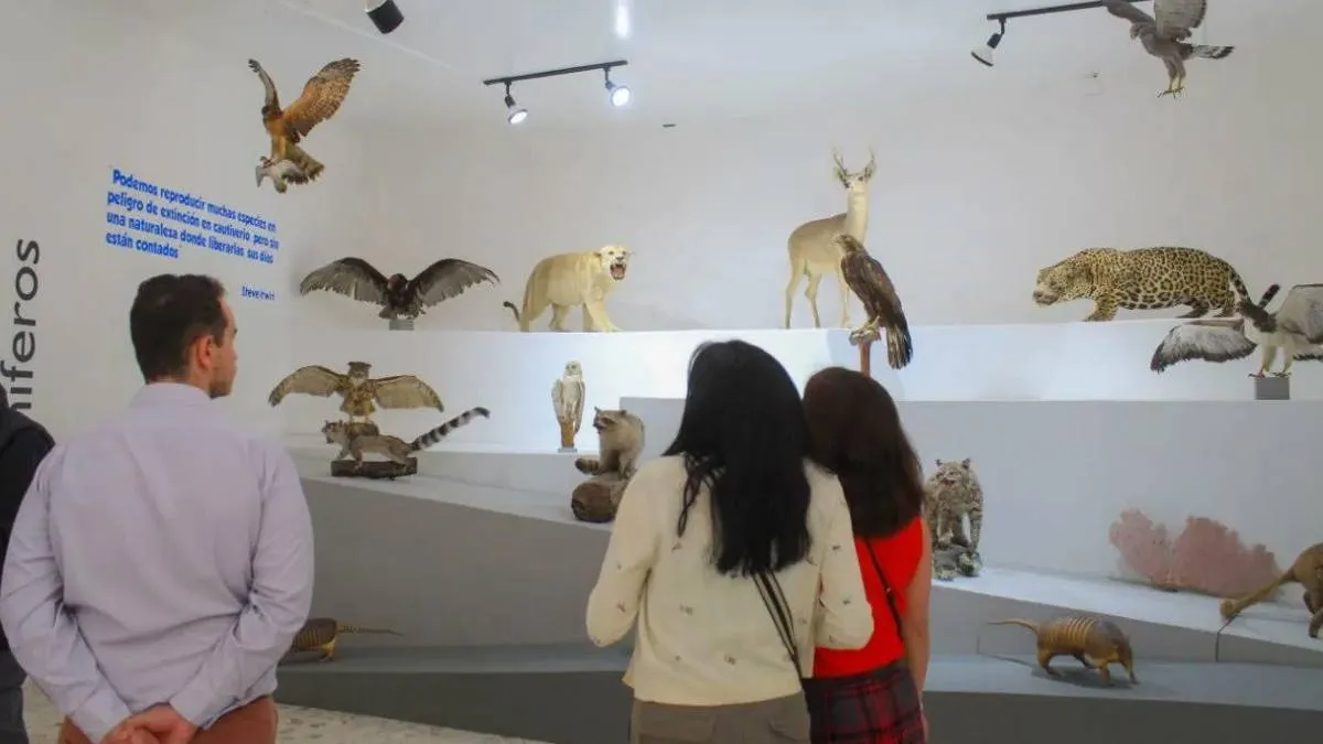 Museo de Ciencias Naturales resguarda acervo valioso para la entidad